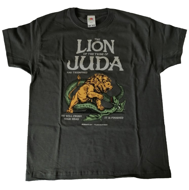 Koszulka T-shirt LION dziecięca grafitowa 140 cm