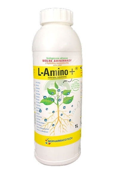 l-amino-1l.jpg