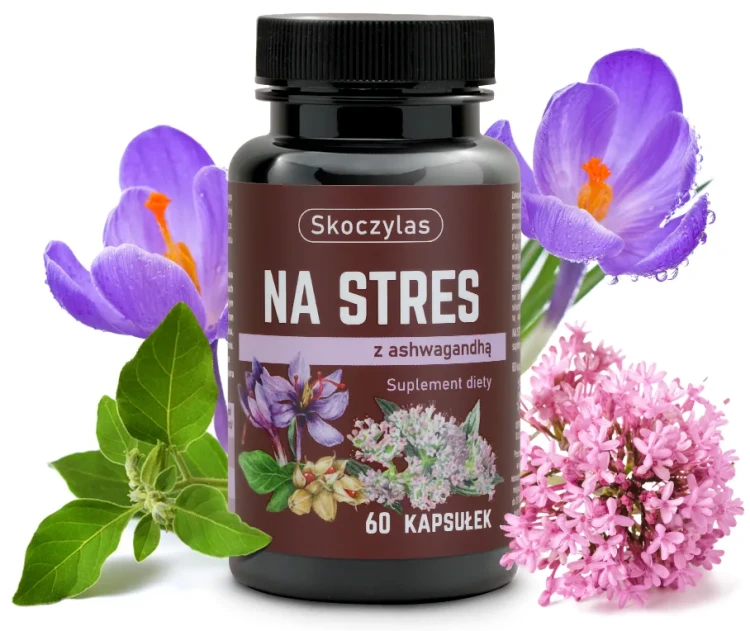 Na stres -  Skoczylas ashwagandha witanoidy safranol waleriana.webp
