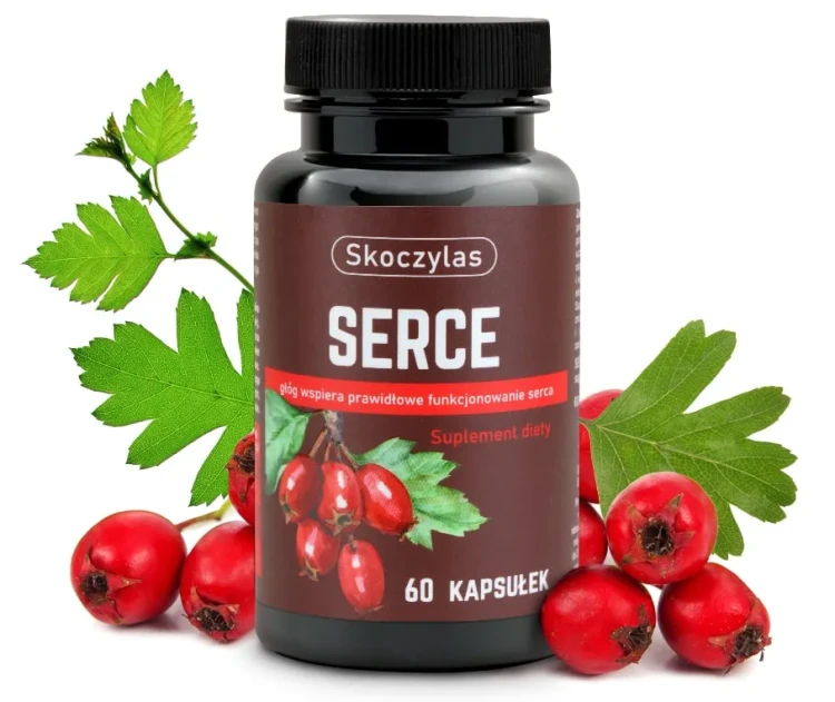 serce_owoc_SKOCZYLAS.webp
