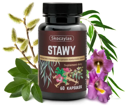 stawy skoczylas super.webp