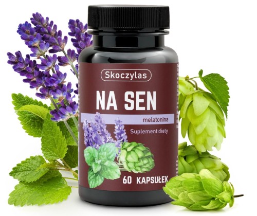 Na sen - Skoczylas.jpg