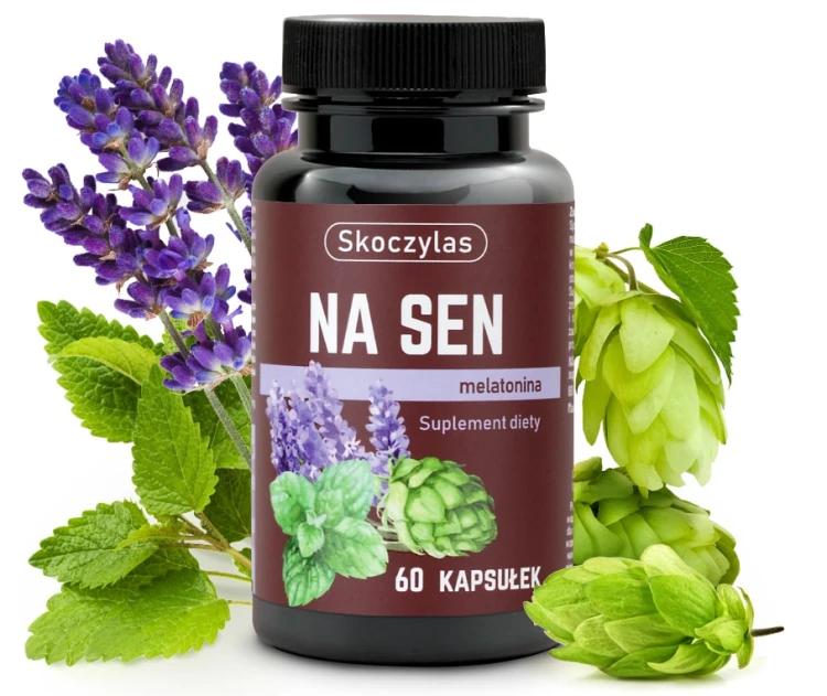 Na sen - Skoczylas.jpg