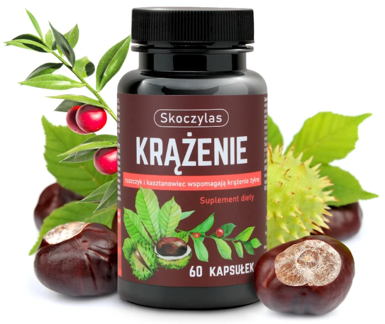Krążenie Skoczylas.jpg